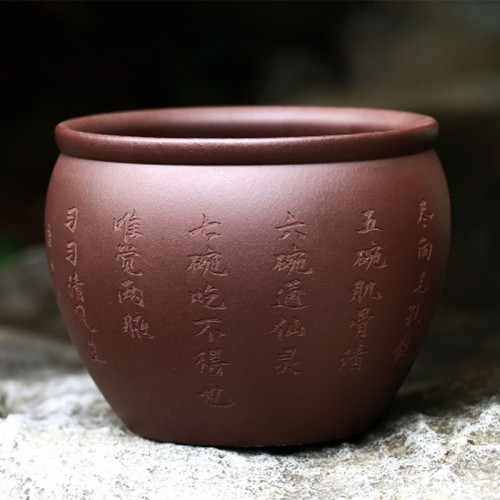 (ÇØ¿ÜÁ÷±¸w141)ÀåȣõÇÏ ÀÚ»çÅð¼ö±â ½É°æ Ä¥¿ÏÂ÷ ¼ö¿ì (¿É¼Ç) (ÇØ¿ÜÁ÷±¸w141)ÀåȣõÇÏ ÀÚ»çÅð¼ö±â ½É°æ Ä¥¿ÏÂ÷ ¼ö¿ì (¿É¼Ç)