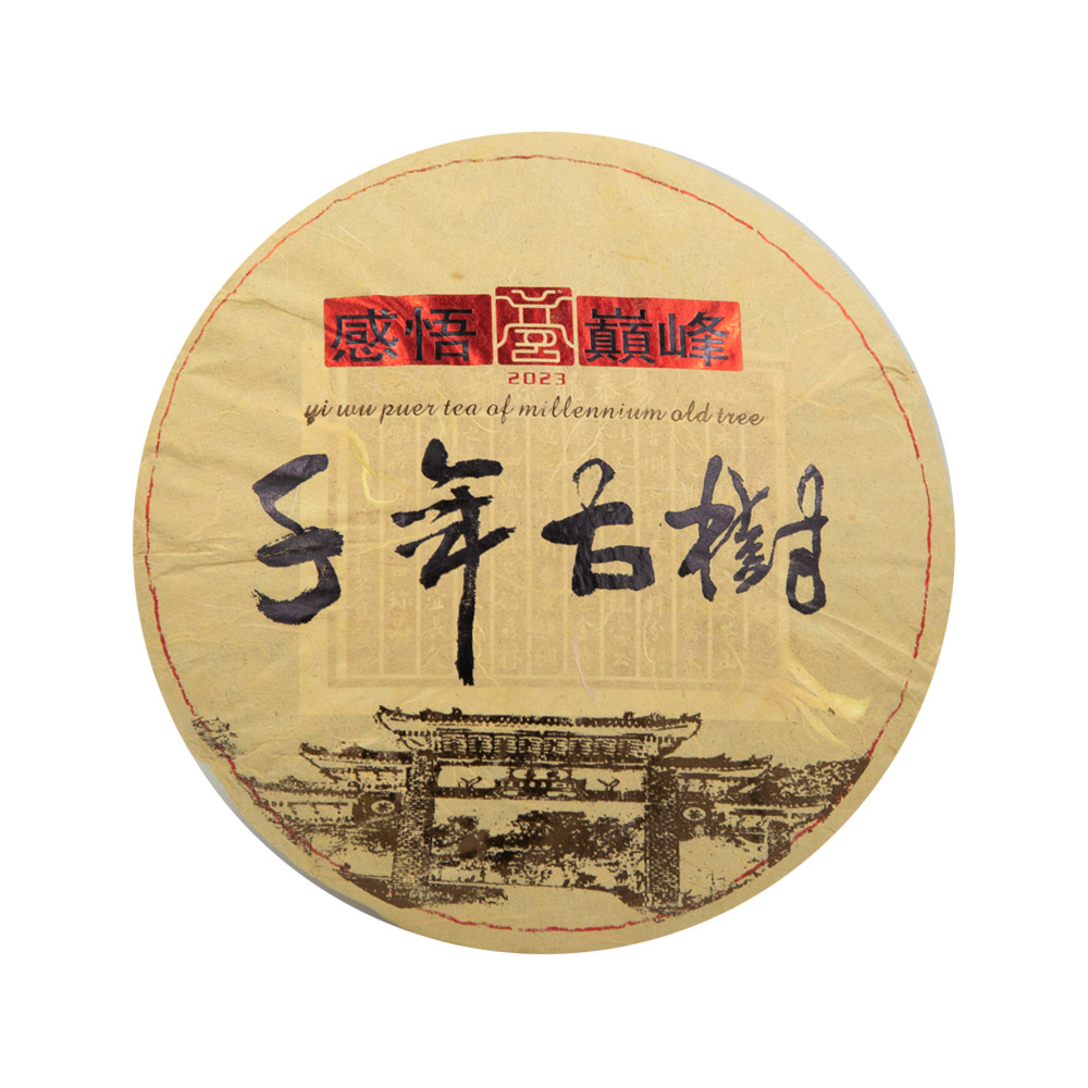 À̹«Â÷â º¸ÀÌÂ÷ 2023³â ÀÌÅ·æ õ³â°í¼ö »ý 400g À̹«Â÷â º¸ÀÌÂ÷ 2023³â ÀÌÅ·æ õ³â°í¼ö »ý 400g